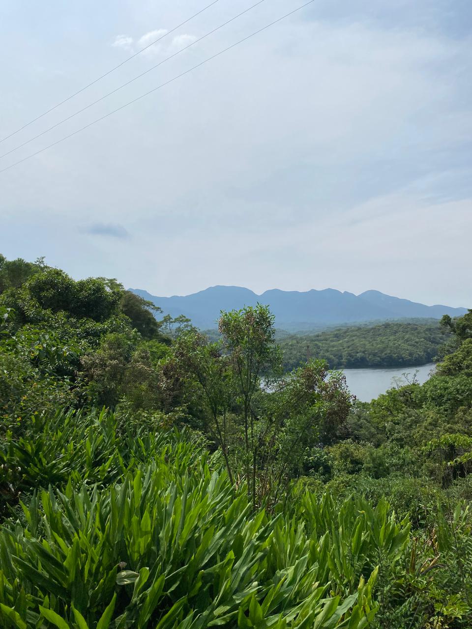 Compensação de Reserva Legal, de acordo com o Código Florestal Brasileiro Lei nº 12.651/2012